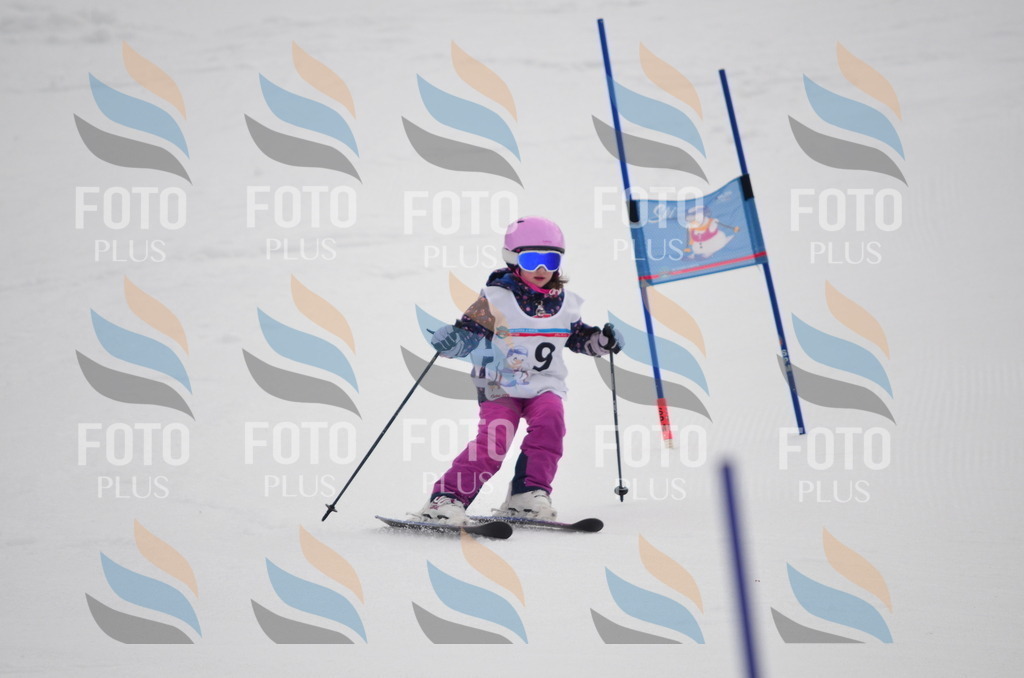 C0142 | holidayphoto