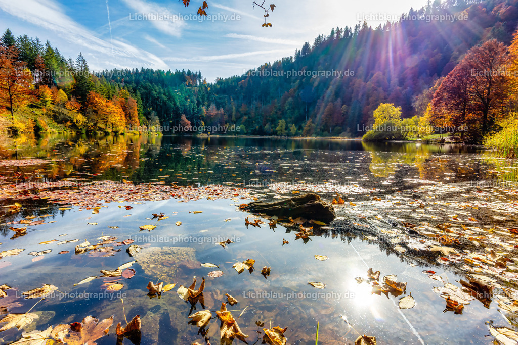 Schöner See im Süd Schwarzwald | Der Nonnenmattweiher ist ein mittels Damm aufgestauter See mit einer Moor- bzw. Torfinsel und ein ihn und seine Umgebung umfassendes namensgleiches Naturschutzgebiet im Südschwarzwald und Naturraum Hochschwarzwald in Baden-Württemberg.  - Realized with Pictrs.com