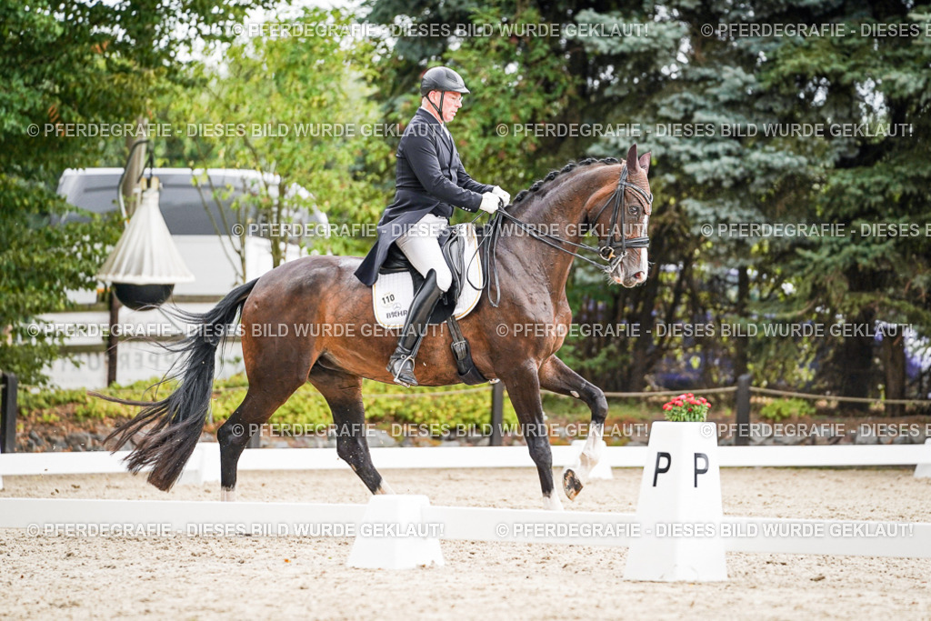 DSC06960 | Pferdegrafie