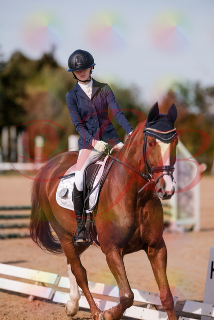 2026_10_03_Siefer-Hof_123445_Z81_32975438 | Professionelle Reitsport-, Turnier- und Eventfotografie von Robert Broda. Galerien mit ausgewählten und bearbeiteten Bildern direkt online ansehen und bestellen.