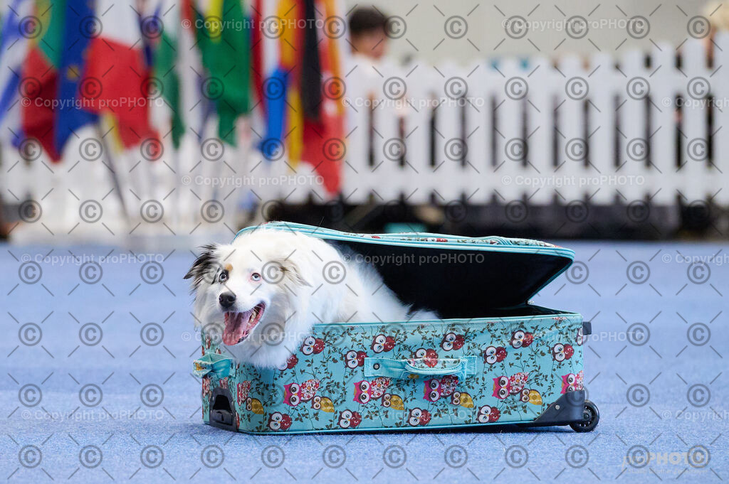 202406_ÖKV-IHA-Tulln24_DSC_4533 | proPHOTO - Realisiert mit Pictrs.com