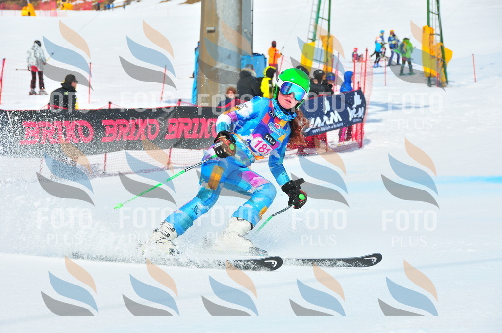 DSC_5366 | holidayphoto