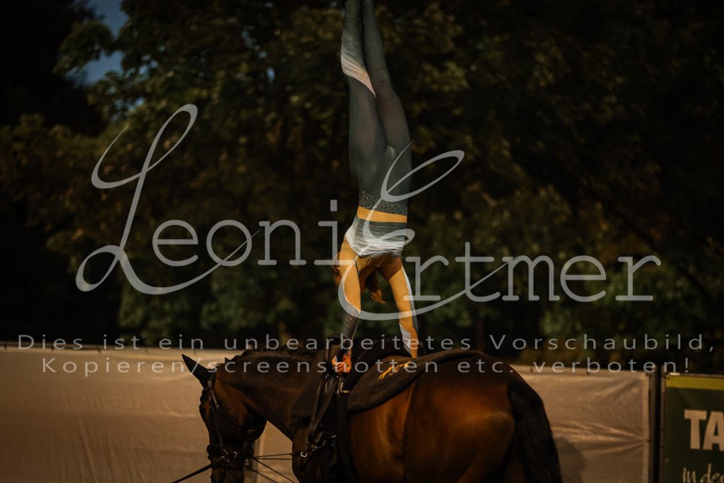 SaShow00327 | Leoni Ertmer Photography - Realisiert mit Pictrs.com