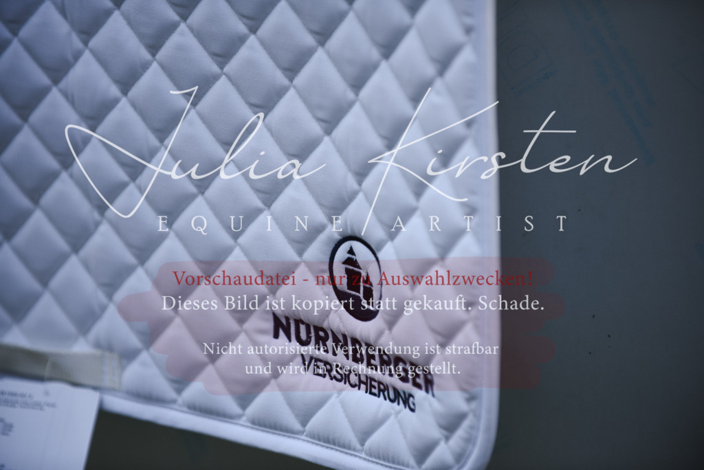 DSC_2919 | Pferde- und Turnierfotografie in Westsachsen. Pferdeportraits, Auftragszeichnungen und intuitive Kunst.