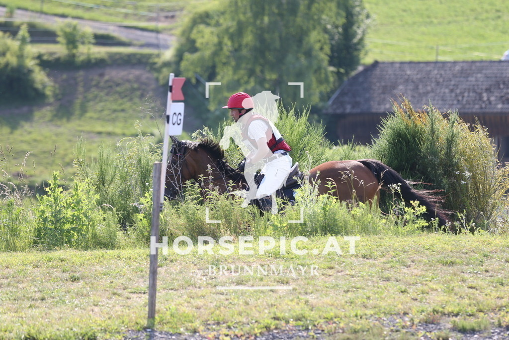 DL2Q3111 | Willkommen bei Brunnmayr - Design & Fotografie – Ihrem Spezialisten für Reitturniere und Pferdeveranstaltungen in Oberösterreich, Salzburg und Bayern! Seit über 17 Jahren sind wir leidenschaftlich dabei.