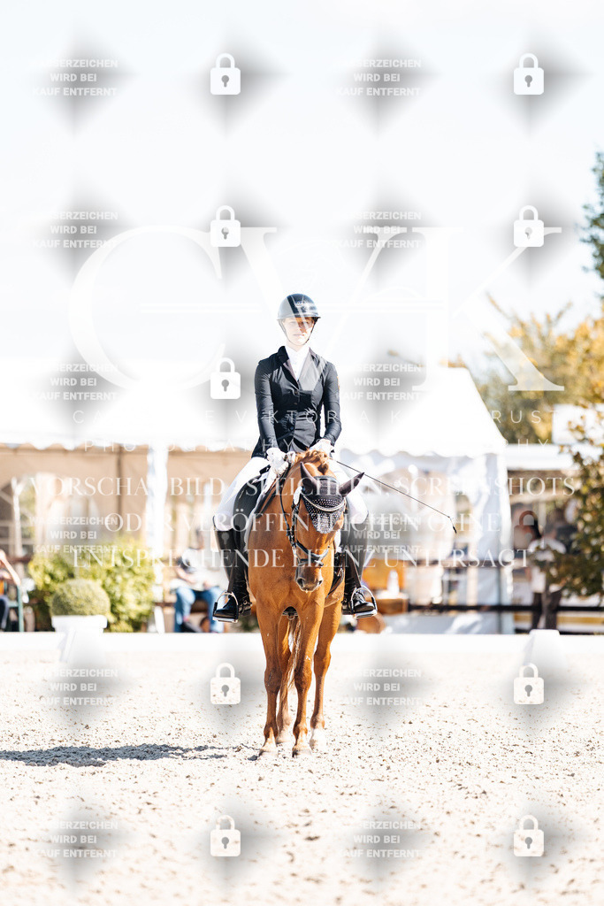 CK903512 | Turnierfotografie Pferdefotografie Trier Rheinland-Pfalz Pferdesport Reitsport Tierfotografie Sportfotografie Pferdevideo Pferdevideografie Equestrianvideography equestrianphotography  - Realisiert mit Pictrs.com