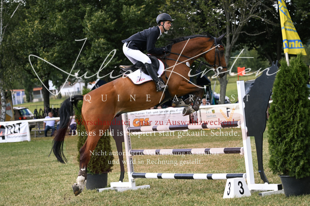 DSC_0996 | Pferde- und Turnierfotografie in Westsachsen. Pferdeportraits, Auftragszeichnungen und intuitive Kunst.