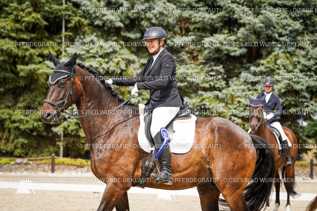 DSC04527 | Pferdegrafie