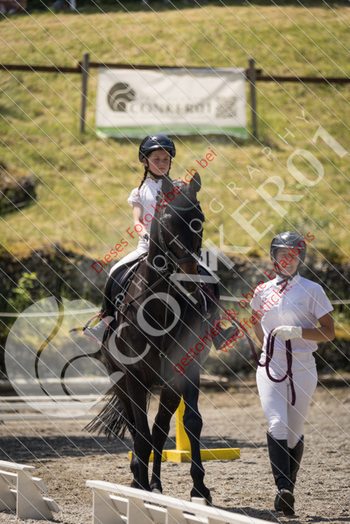 IMG_3450 | Sport-, Event- und Tierfotos in Profiqualität. Einfach auswählen, bestellen und herunterladen. Dein Moment – perfekt festgehalten.