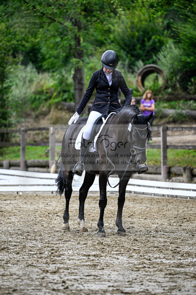 Bissendorfer Reitertage | Entdecke hochwertige Reitturnierfotos von Foto Oger. Professionell, emotional und authentisch – jetzt Lieblingsmomente im Shop bestellen. - Realisiert mit Pictrs.com