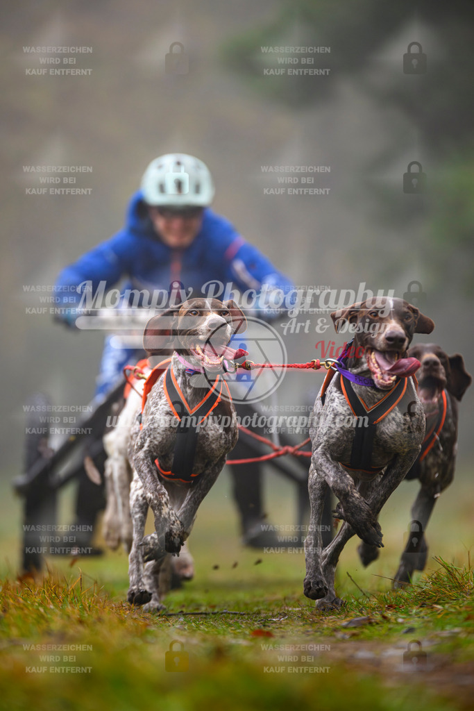 MompixPhotography_Bischwiller2025_Kart-13 | mompixphotography