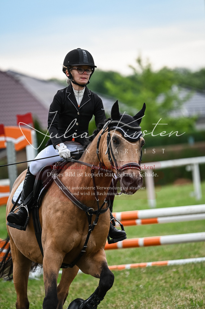DSC_8581 | Pferde- und Turnierfotografie in Westsachsen. Pferdeportraits, Auftragszeichnungen und intuitive Kunst.