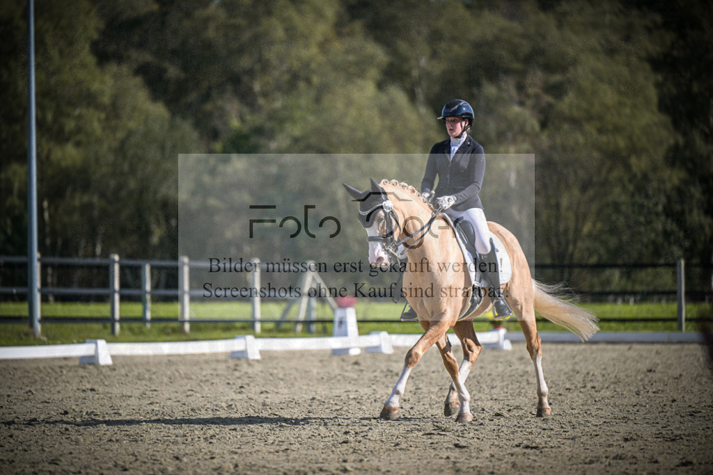 DOS_2089 | Entdecke hochwertige Reitturnierfotos von Foto Oger. Professionell, emotional und authentisch – jetzt Lieblingsmomente im Shop bestellen.Deutschlandweite Turnierfotografie. - Realisiert mit Pictrs.com