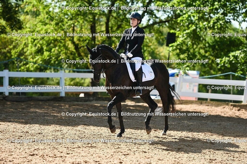 20230715_06_Dressurpferdeprfg. Kl.A_0326 | equistock