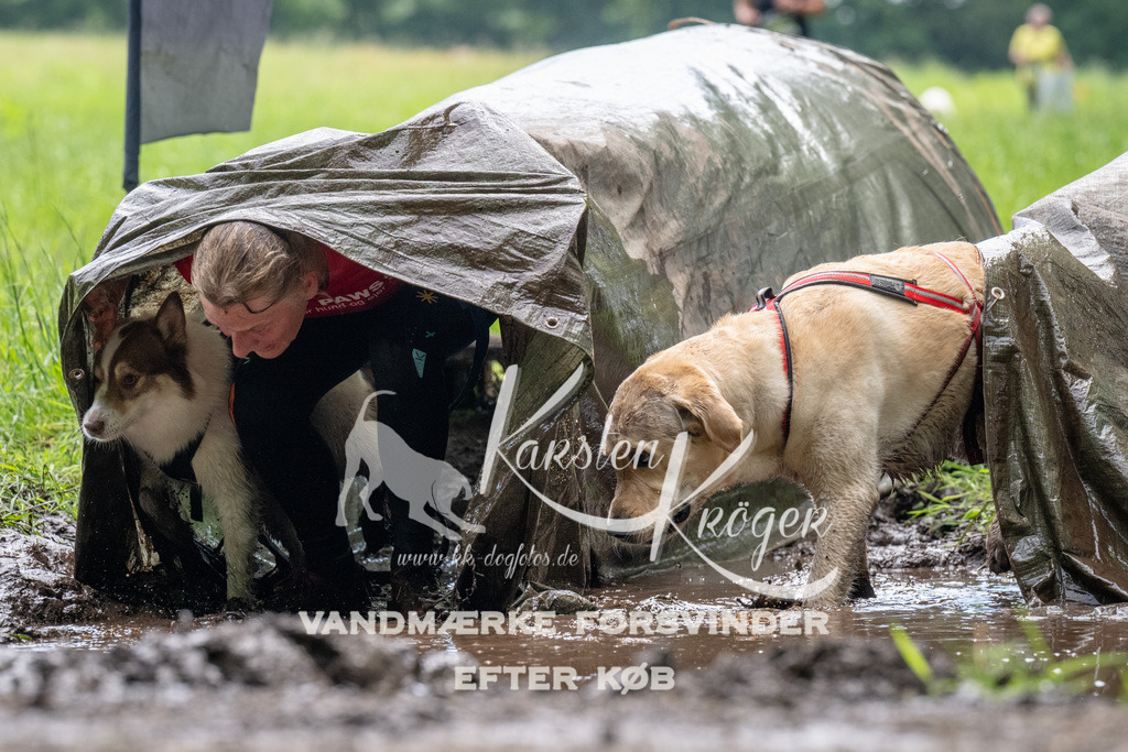 1119_ZZ92440 | kk-dogfotos