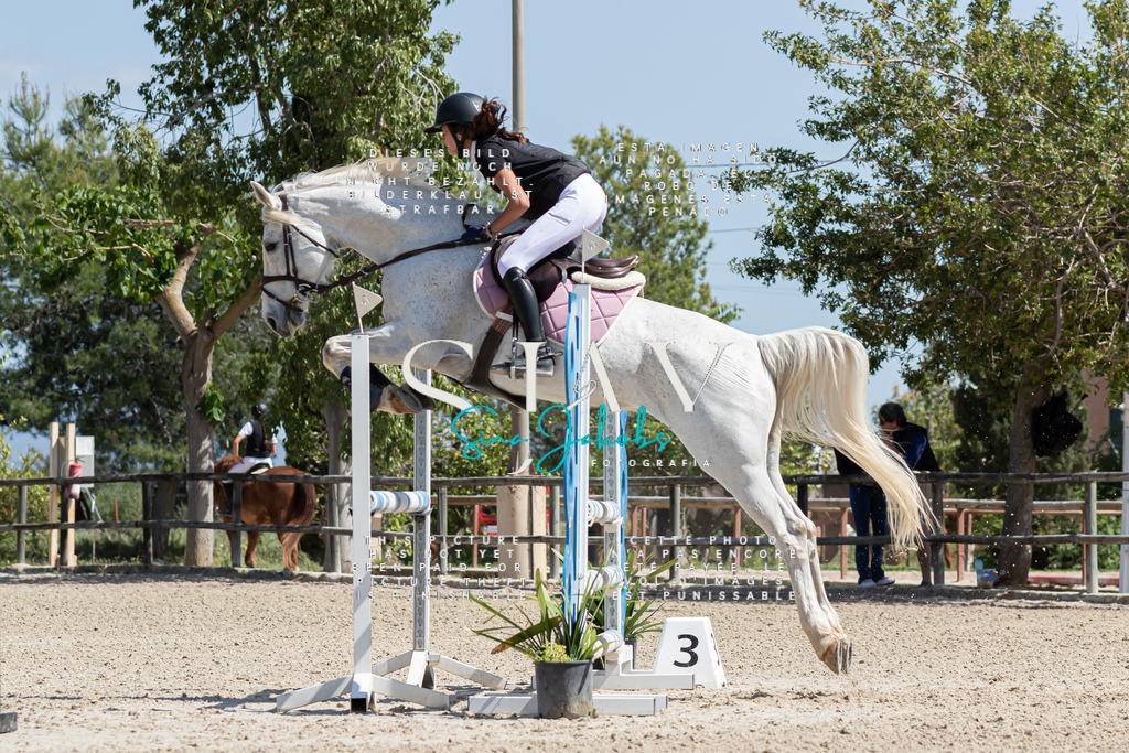 IMG_0664 | s-jay-photography - Realisiert mit Pictrs.com