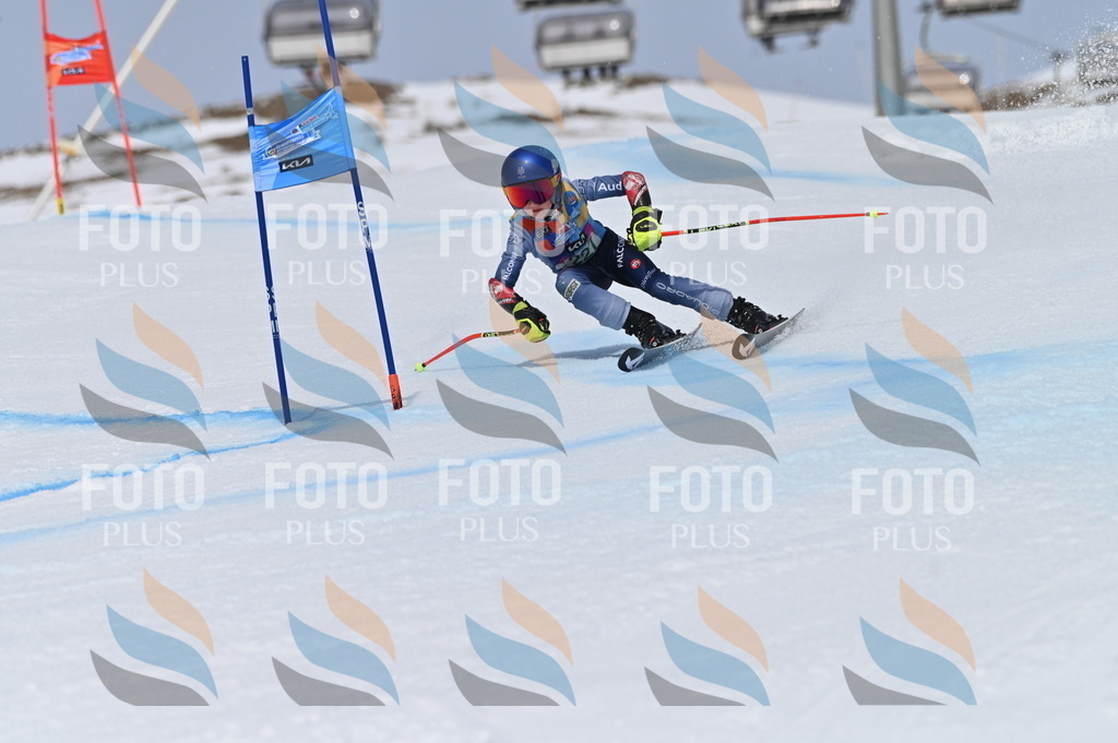 BGV_4483 | holidayphoto