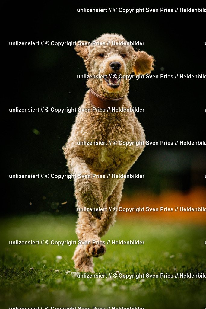 Sven Pries | 2025-05-29 - Pudelrennen KA-Durlach - Realisiert mit Pictrs.com