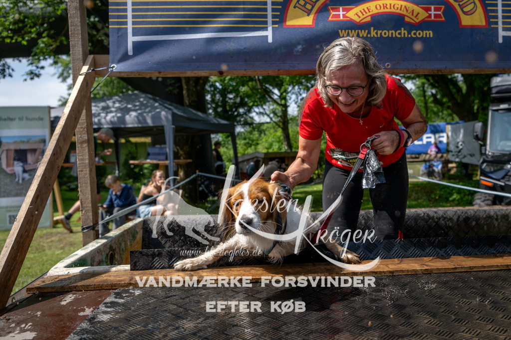 1101_ZZ92382 | kk-dogfotos