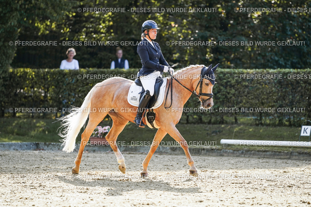 DSC05678 | Pferdegrafie