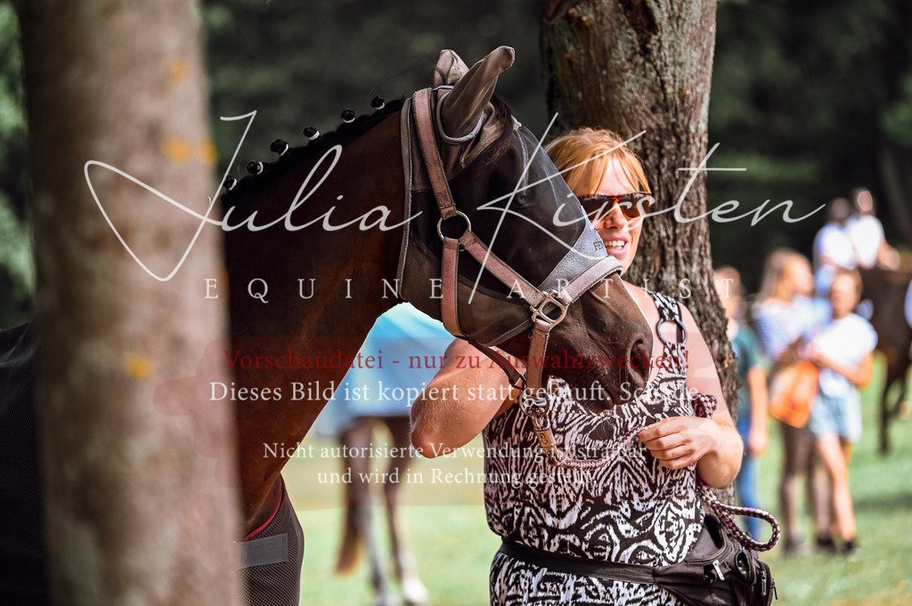 DSC_8112 | Pferde- und Turnierfotografie in Westsachsen. Pferdeportraits, Auftragszeichnungen und intuitive Kunst.