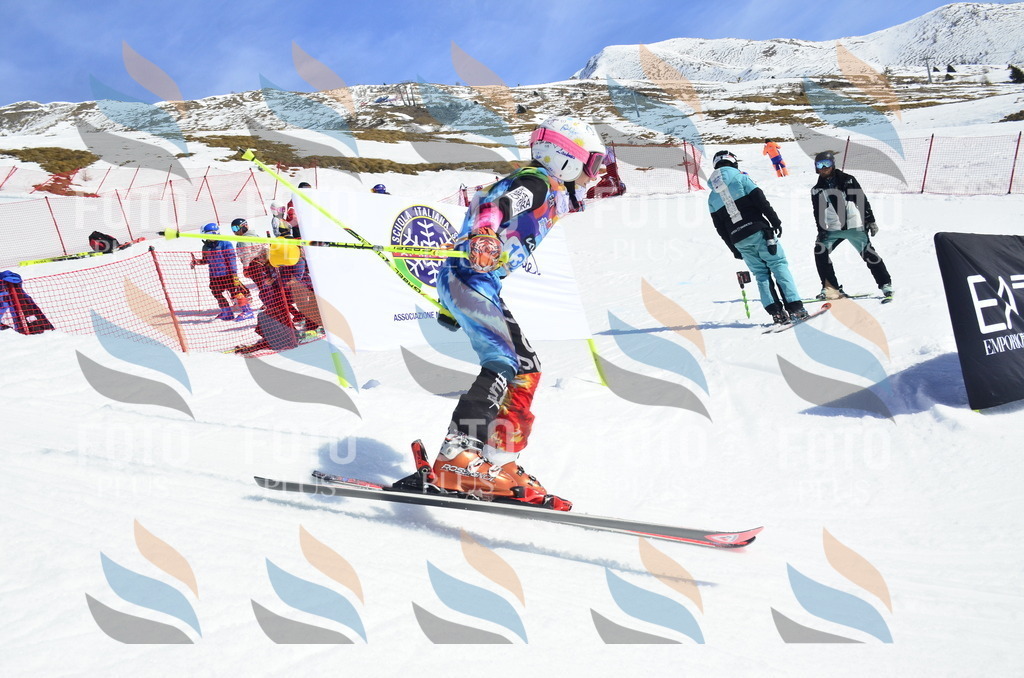 _ELE0822 | holidayphoto