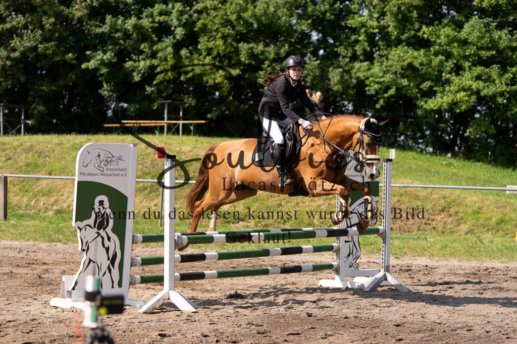 A7507349 | Turnier/Reitfotograf