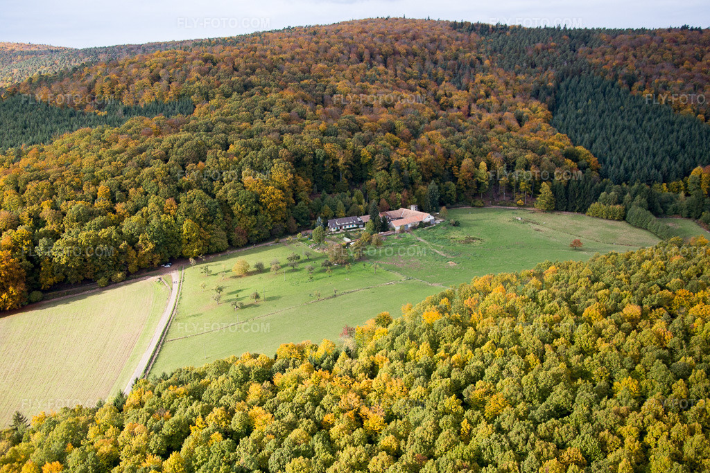 Aerial view: View of the town in Niederbronn-les-Bains in the state Bas-Rhin, France.Photo: IMG_084728.jpg taken on 10/23/2015 by Werner Riehm/FLY-FOTO.comResolution of the original: 5472 x 3648 px