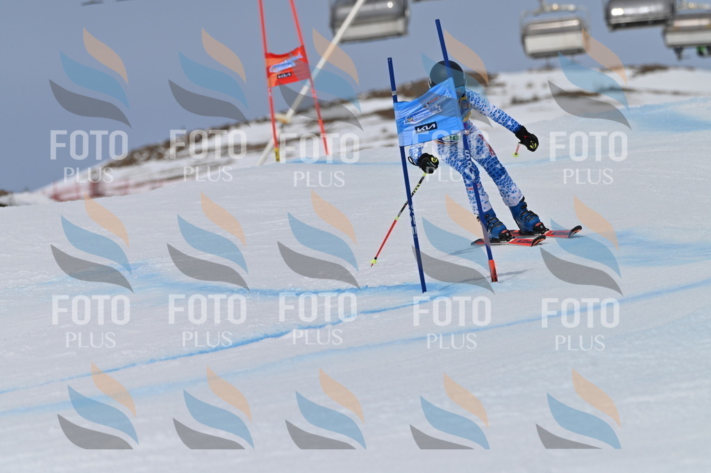 BGV_5701 | holidayphoto