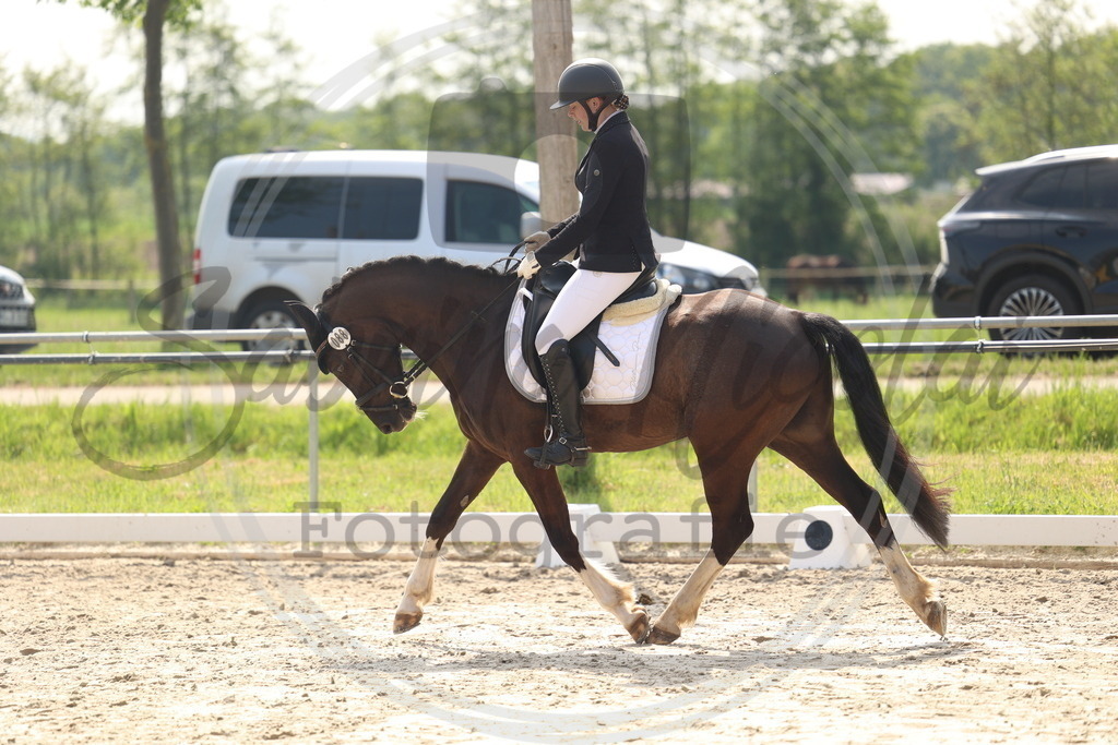 994A6565 | sabrinanicolaifotografie - Realisiert mit Pictrs.com