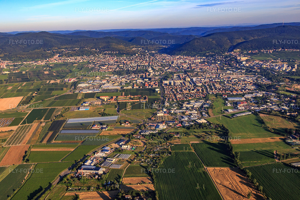Luftbild: Stadtansicht aus Osten am Morgen in Neustadt an der Weinstraße im Bundesland Rheinland-Pfalz in Deutschland. Foto: IMG_091642.jpg vom 10.07.2016 durch Werner Riehm/FLY-FOTO.de