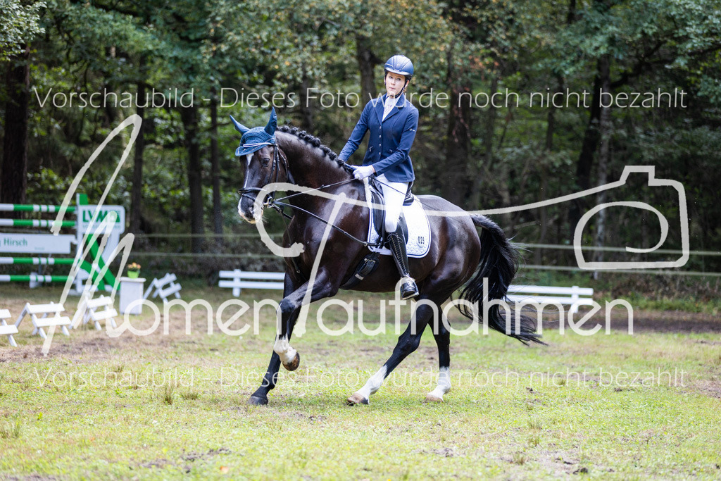 HB-Dressur-WB-095 | MomenTaufnahmen Pferdesportfotos