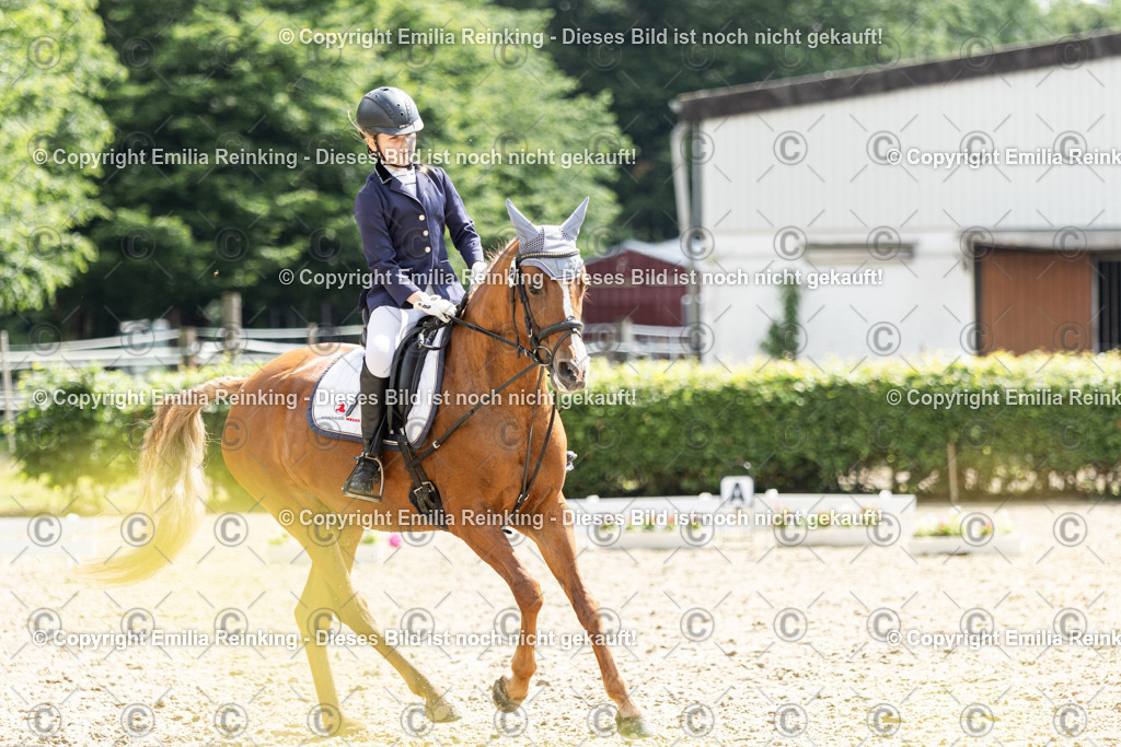 CL5A6526 | Emilia Reinking Fotografie - Realisiert mit Pictrs.com