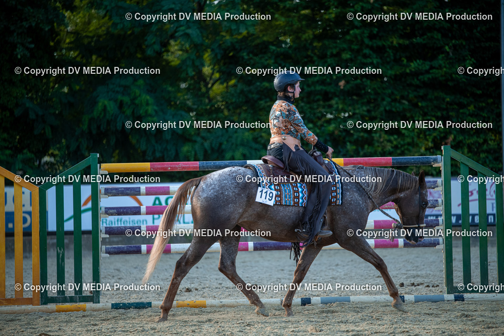 EWP_7251 | dv-media-shop - Realisiert mit Pictrs.com