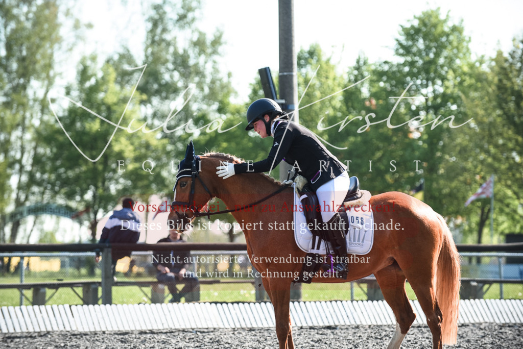 DSC_8452 | Pferde- und Turnierfotografie in Westsachsen. Pferdeportraits, Auftragszeichnungen und intuitive Kunst.