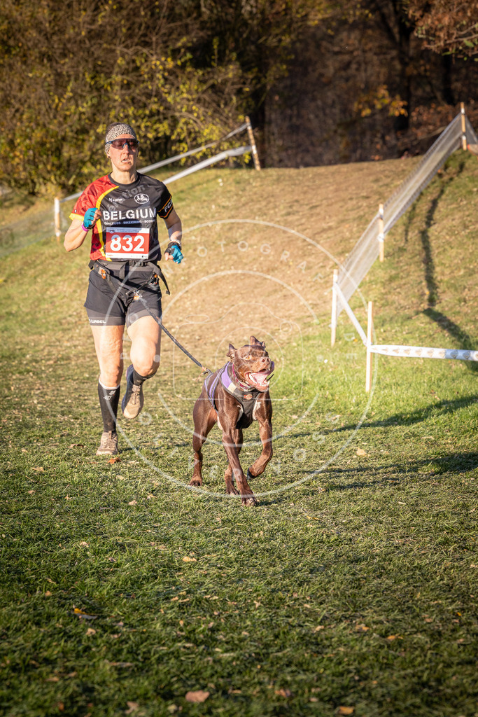 CaniXpix_0L8A0668 | Hundefotografie, Tierfotograf, Pfotenfotografie, Fotoshooting Hund, Hunde Portrait, Hundesport, Hundeportraits, Heideshooting, Hunde, Sportfotograf, Hundefotograf, Turnierhundsport, THS,  - Realisiert mit Pictrs.com