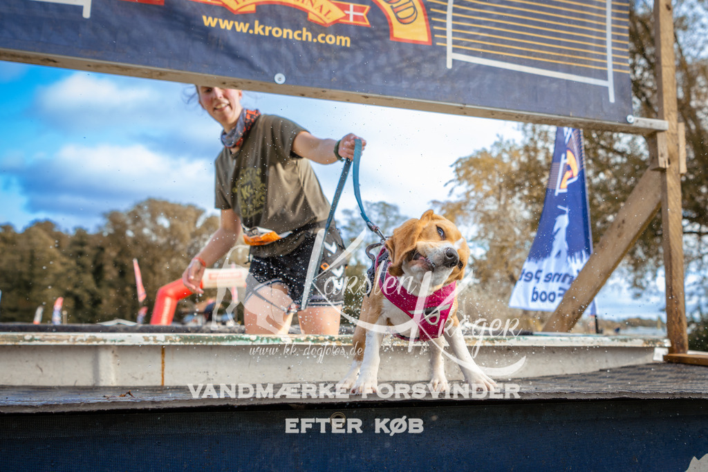 1538_ZZ96938 | kk-dogfotos