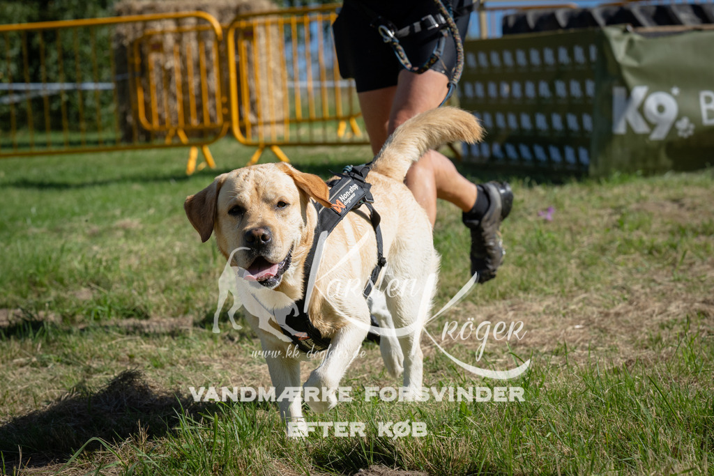 1016_ZZ98038 | kk-dogfotos