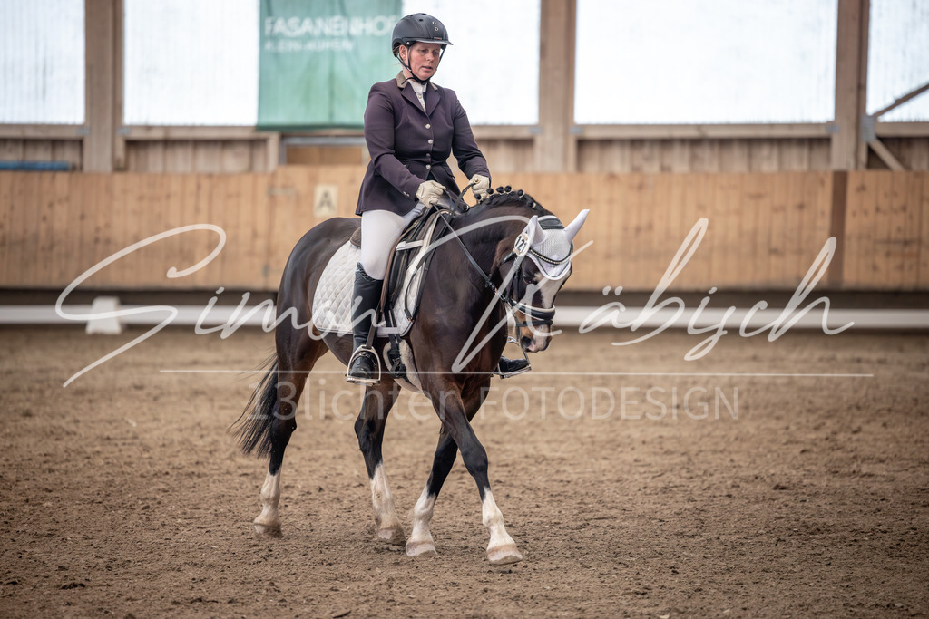 20251011-_3LI0544 | Tierfotografie Pferde, Hunde, Katzen, Haustiere.
Turnierfotografie Reitturniere, Reiten, Springreiten, Dressur in Hanau, dem Main-Kinzig-Kreis und dem Rhein-Main- Gebiet um Frankfurt