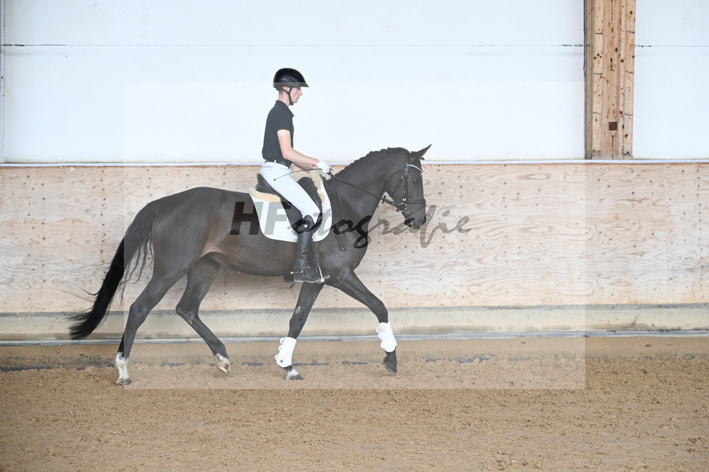 Kat-Nr. 5 Hope v. Boss Hoss_Borisic_31250167 | hf-fotografie - Realisiert mit Pictrs.com