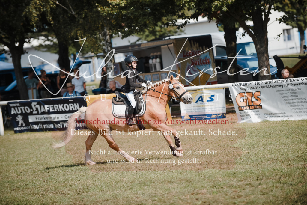 DSC_5208 | Pferde- und Turnierfotografie in Westsachsen. Pferdeportraits, Auftragszeichnungen und intuitive Kunst.