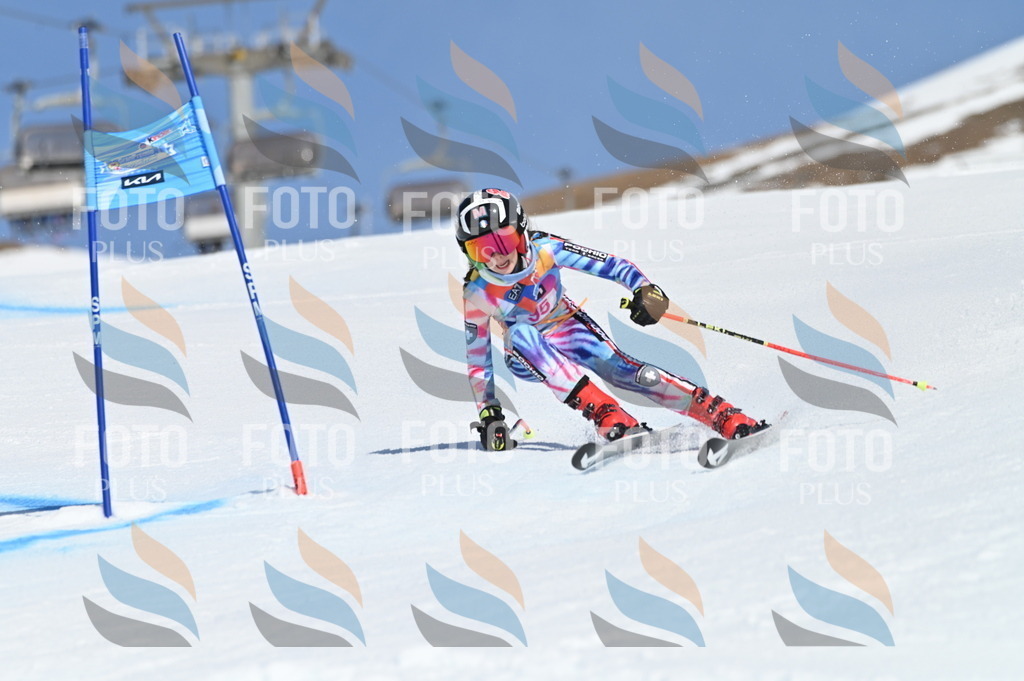 BGV_9355 | holidayphoto