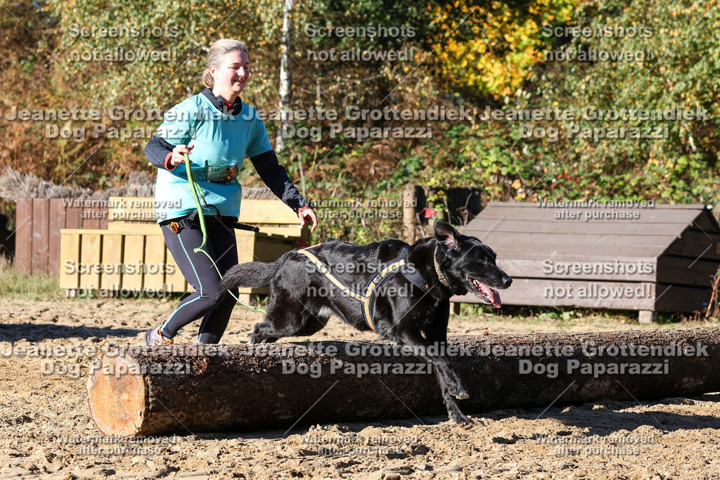 Dog Paparazzi - Strongdog 10-25-1934 | Dog Paparazzi Jeanette Grottendiek Fotografie & Videografie - Realisiert mit Pictrs.com