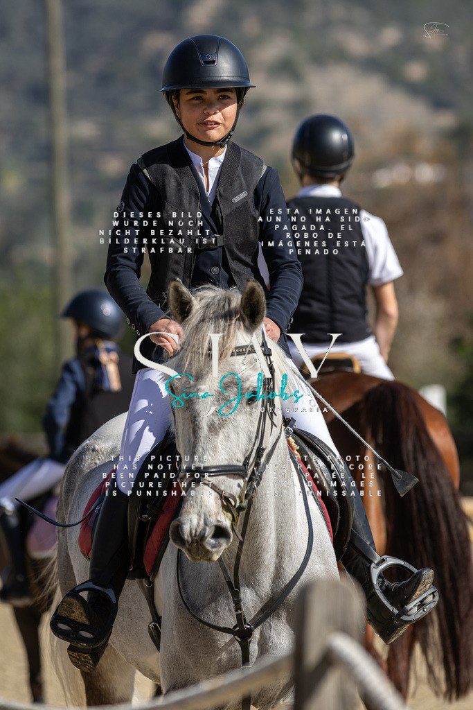 IMG_6175 | s-jay-photography - Realisiert mit Pictrs.com