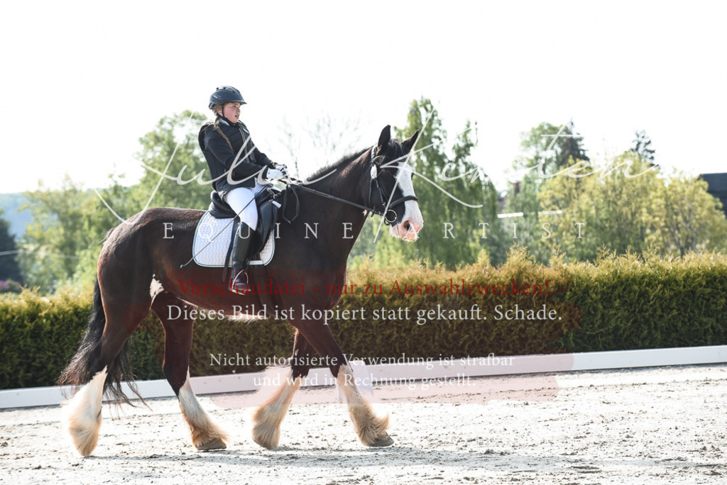 20230518_JK-Röhrsdorf-09-0923 | Pferde- und Turnierfotografie in Westsachsen. Pferdeportraits, Auftragszeichnungen und intuitive Kunst.