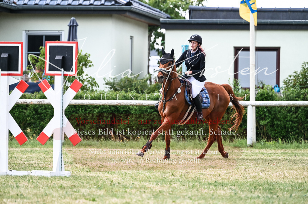DSC_9081 | Pferde- und Turnierfotografie in Westsachsen. Pferdeportraits, Auftragszeichnungen und intuitive Kunst.