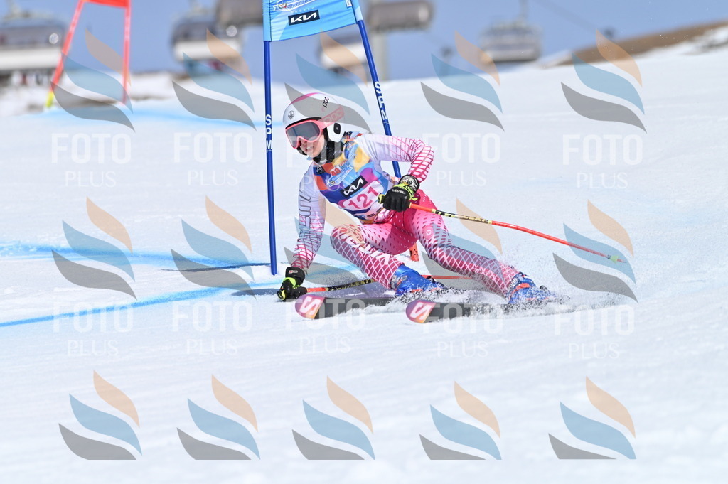 BGV_9828 | holidayphoto