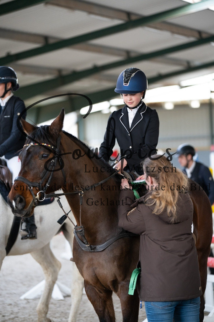 A7V04380 | Pferdefotograf