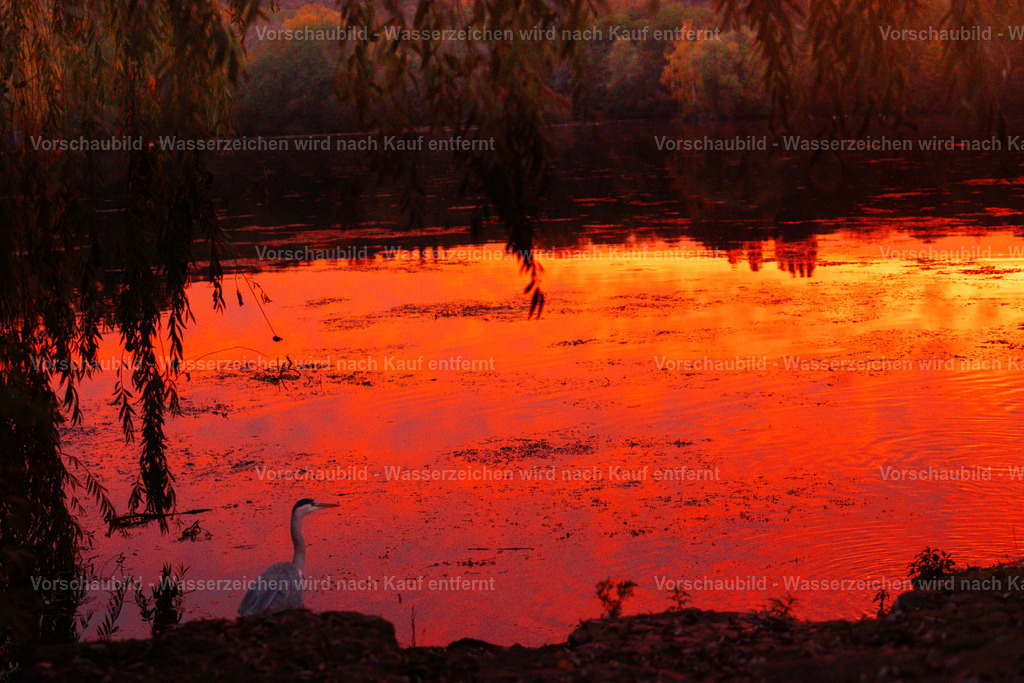 DSC05722-3 | marcuslinek