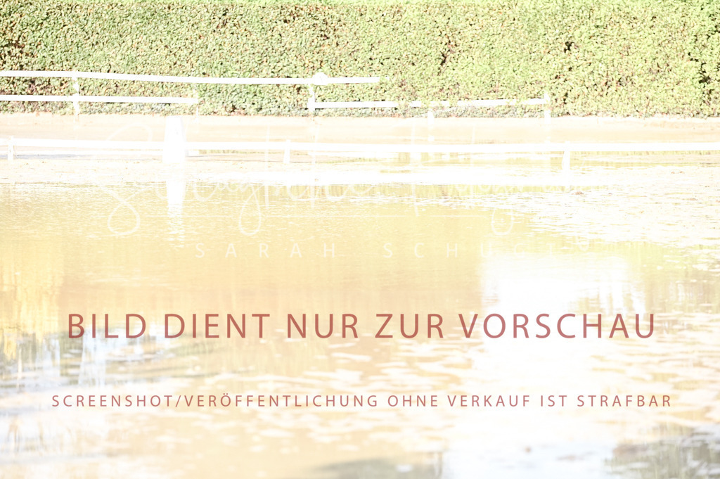 Schugtsche-Aluta25-54.Dressurprf.L1Trense-196 | Schugtsche Fotografie - Realisiert mit Pictrs.com